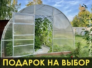 Теплица «СЕВЕРНАЯ» 4м