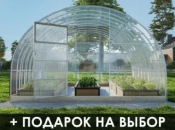 Теплица «СЕВЕРНАЯ-ДД» 4м Теплица «СЕВЕРНАЯ-ДД» 4м